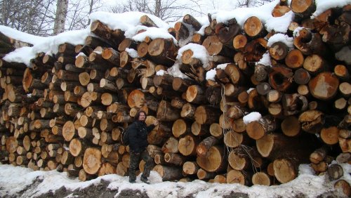 (2011.02.23) ЭкоВахта посетила район строительства олимпийской резиденции Путина и Медведева